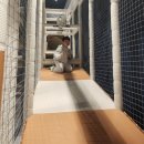 키즈 플라워와 방학생활 | 광주 초등학생 키즈카페 추천 퐁퐁플라워 주말 이용 후기