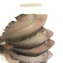 주문진항20 이미지