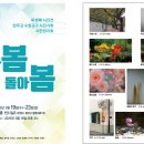 13기 송미영-콜라비님 전시 이미지