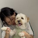 더블리스동물의료센터 이미지