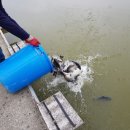 중부낚시터 이미지