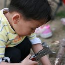 창훈농장 Daum카페