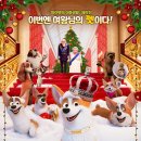 프린스펫 이미지