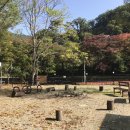 신선계곡야영장 이미지