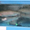 남한강횟집 이미지