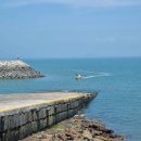 방아머리선착장 | [경기도 안산시] 방아머리해변 - 전 견종 가능 · 맹견 입마개 · 목줄 착용 · 배변봉투 지참