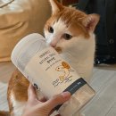 프롬벳 | 고양이간식 북어 트릿(국내산) 프롬벳, 동결 건조 건강간식