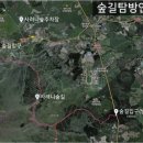 남조로 사려니숲길입구 이미지