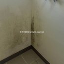 중흥S클래스 더 퍼스트 | 진주 탄성코트 중흥S클래스더퍼스트 세탁실 곰팡이 해결
