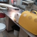 황동물병원 이미지