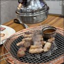 제주도야지 이미지