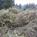 도순주유소 이미지