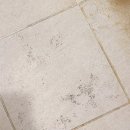 솔 | 욕실 곰팡이 제거 추천 팡이솔 거품 일체형 솔 사용 후기