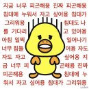 아보하 이미지