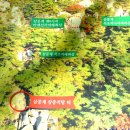 선각당 | 전통건축-10389. 경주 남산 삼릉계 제6사지 마애선각여래상을 찾아서 (2026.05.01.)