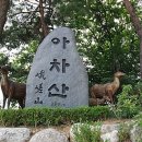 청계천카랜드