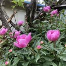 거두마을길 입구 이미지