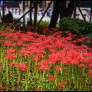 활천공원 이미지