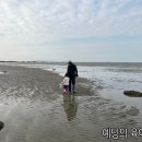 서천 다사항 펜션 이미지