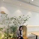 오시리아 헬로시티 | 치즈케이크가 맛있는 카인드엉클부산오시리아점