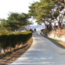 와와펜션 네이버블로그