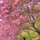 늘푸른전당 헬스장 이미지