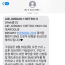 하이바이오 이미지