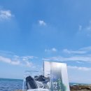 중앙미역 네이버블로그