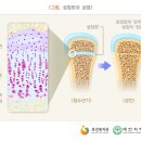 오병원 네이버블로그