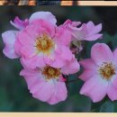 융한의원 이미지