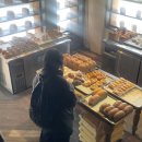 11545-11-00-25 | 25/11 세상에서 살아남기 시즌00 00