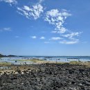 종달항해맞이집 이미지