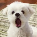 (주)디지탈캠프 이미지