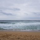 동해바다 이미지