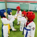 대호태권도체육관 이미지