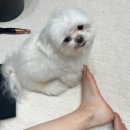 종로-종로-종로-종-161 이미지