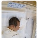 샤론 | 수원 샤론산후조리원 시설 장단점 및 이용후기