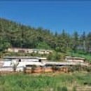 약초동물병원 이미지