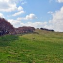 종우목장 이미지