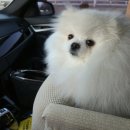 까까주까 이미지