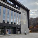 강아지풍경 | 춘천 강아지 숲 후기 반려견과 가을 나들이 코스로 완벽했던 하루