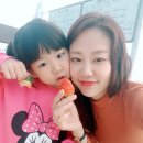 한솜농장 | 서산키즈카페 과학딸기농장 딸기따기가 최고