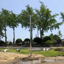 예당구장 이미지