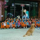 마루유치원 이미지