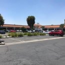 뉴스타덴탈 이미지