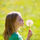 아이토마토한의원 이미지