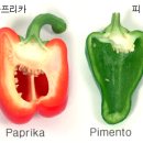 파프리카