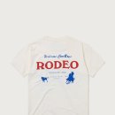 디즈데이즈 이미지