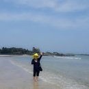 진영고등학교 이미지