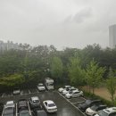 피자브라더스 권선점 | 5월